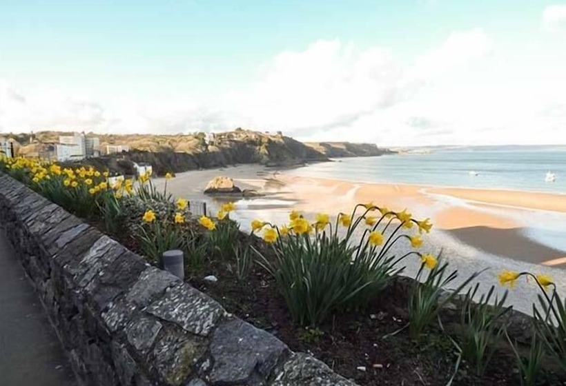 White Cottage Annexe