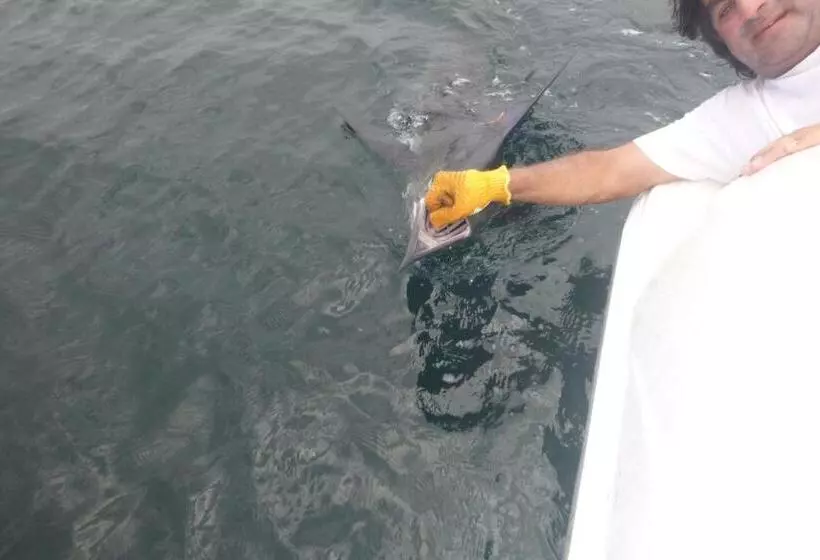 Apart Hotel Las Cherelas