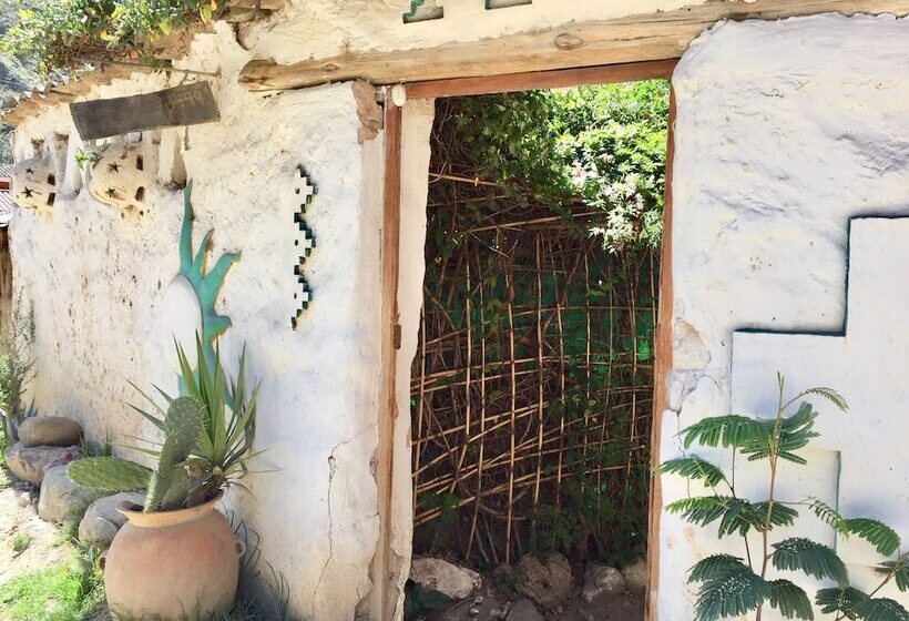 Bed and Breakfast Full Moon Ecolodge