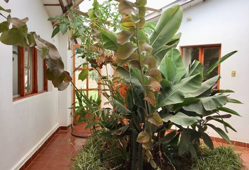 Bed and Breakfast Full Moon Ecolodge