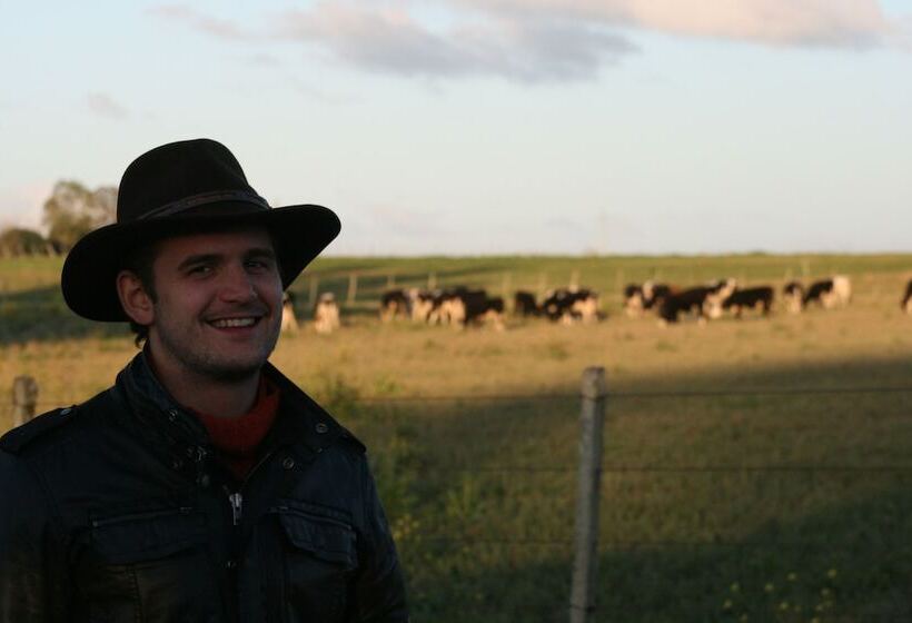 El Galope Horse Farm & Hostel