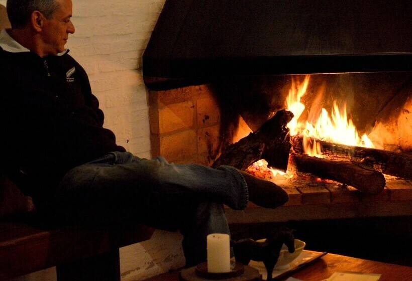 El Galope Horse Farm & Hostel