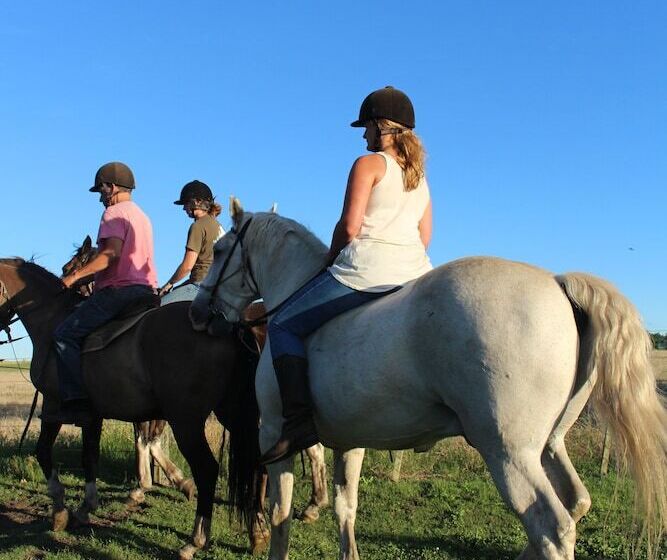 El Galope Horse Farm & Hostel