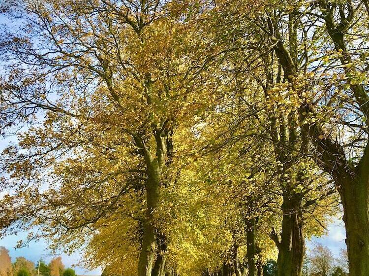 Отель Bed And Breakfast åløkke