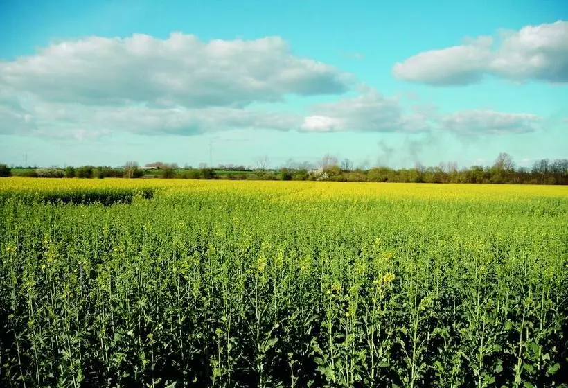 ホテル Bed And Breakfast åløkke