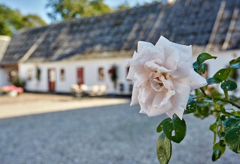 Отель Bed And Breakfast åløkke