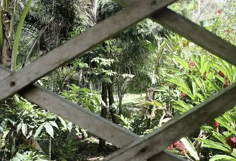 Hotelli Big Falls Extreme Adventures