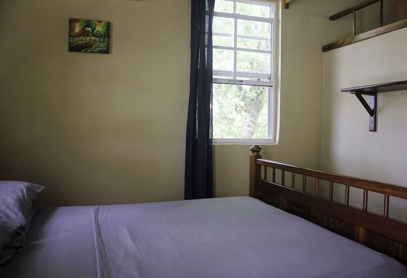 ホテル Big Falls Extreme Adventures