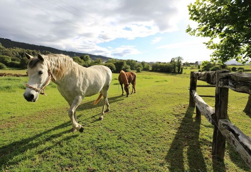 هتل Casa Guillermo