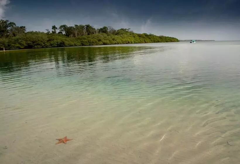 هتل Hospedaje Yarisnori