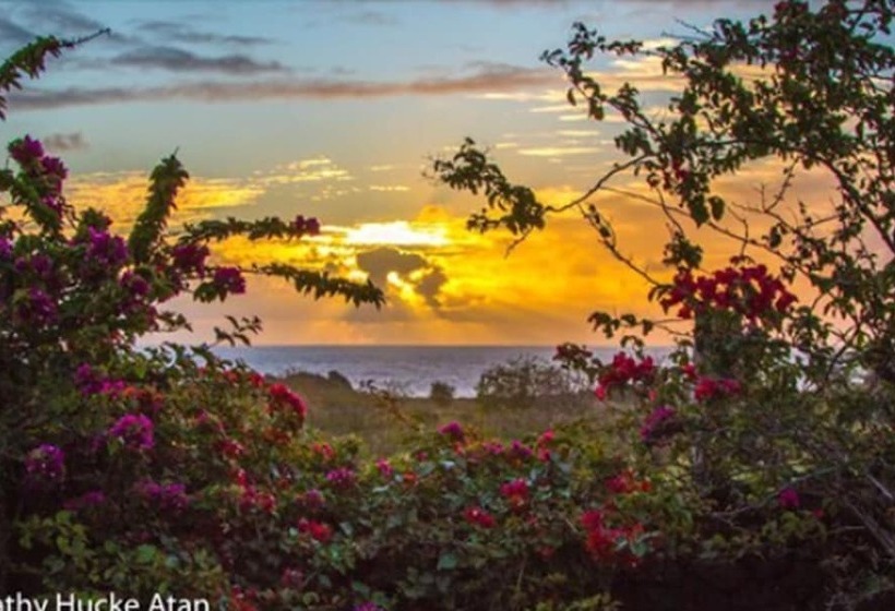 Hotel Kona Koa Lodge