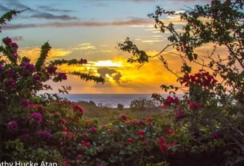 ホテル Kona Koa Lodge