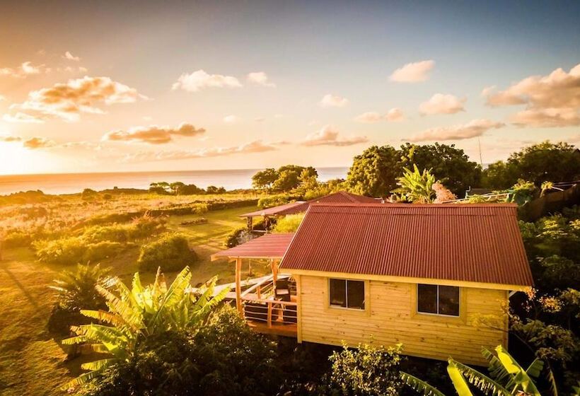 Hotel Kona Koa Lodge