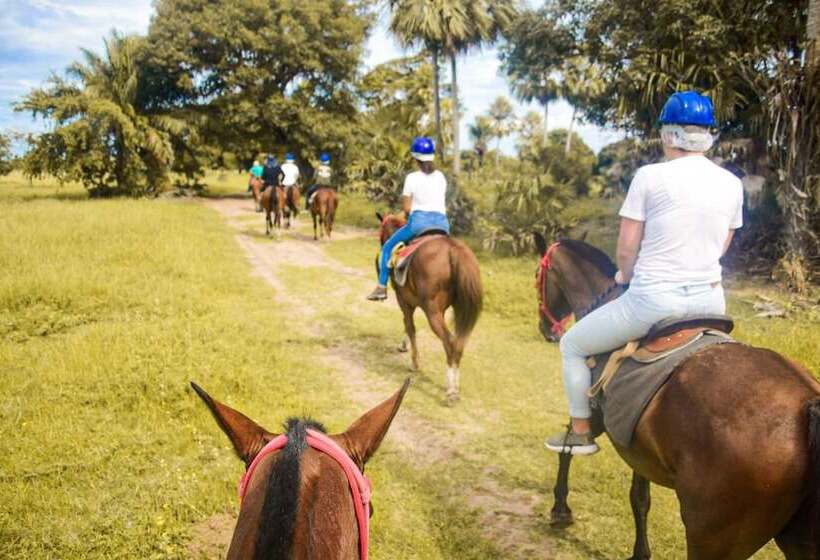 فندق ريفى Pousada São João   Estrada Parque Pantanal