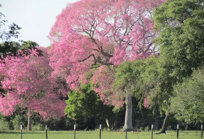 Maaseutuhotelli Pousada São João   Estrada Parque Pantanal