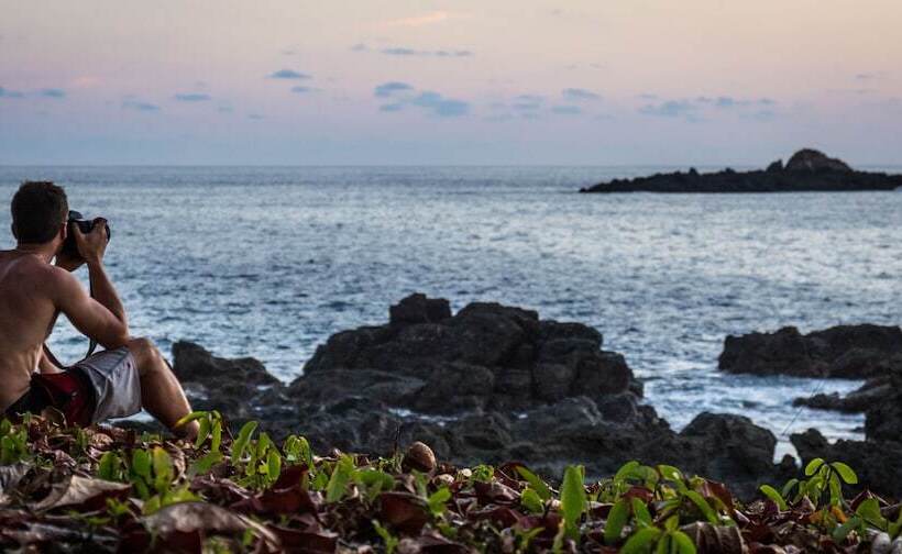 هتل The Jaguars Jungle