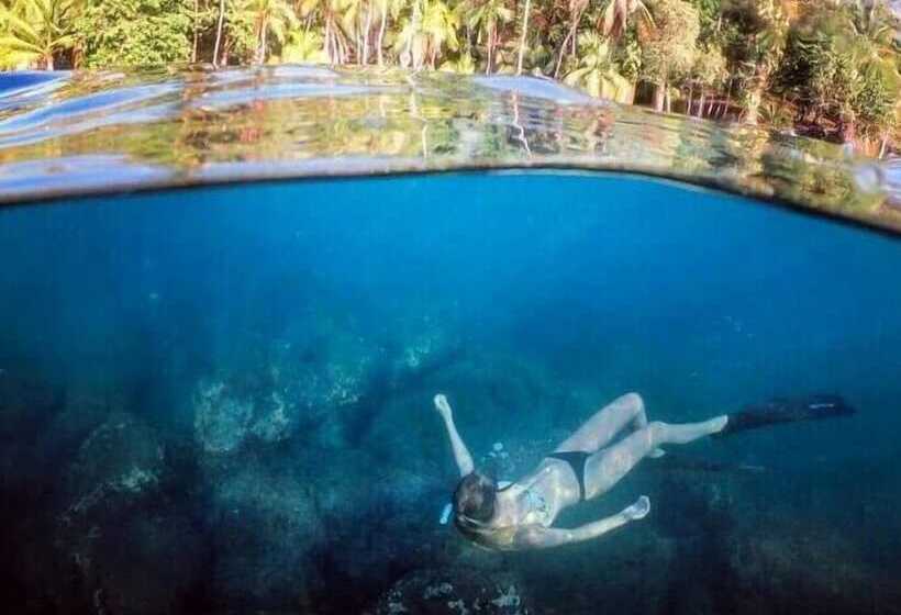 هتل The Jaguars Jungle