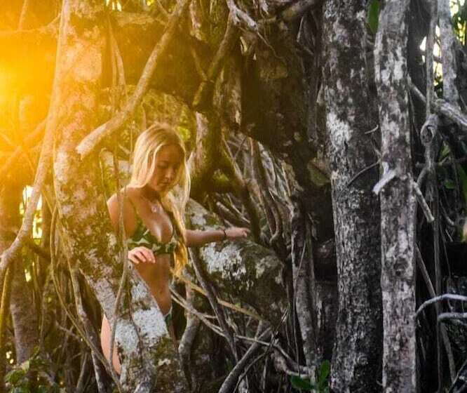 هتل The Jaguars Jungle