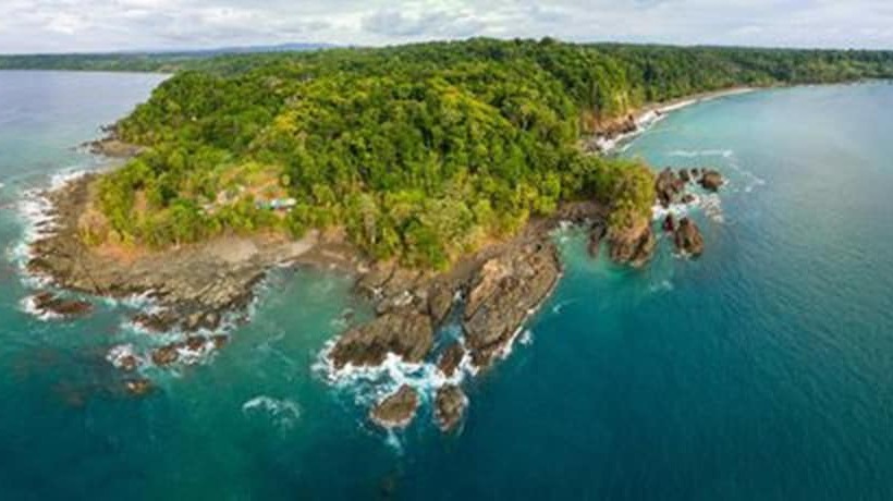 هتل The Jaguars Jungle