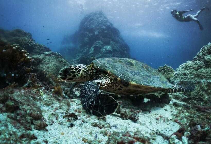 هتل The Jaguars Jungle