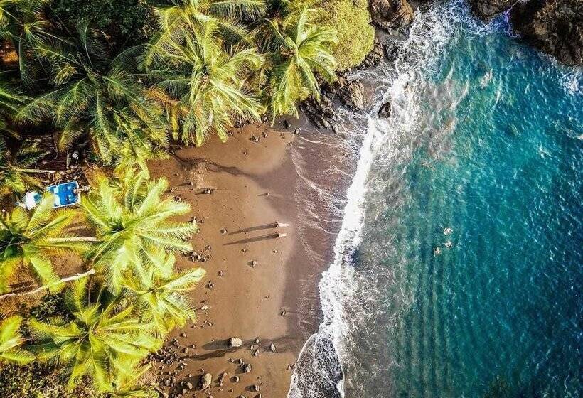 هتل The Jaguars Jungle