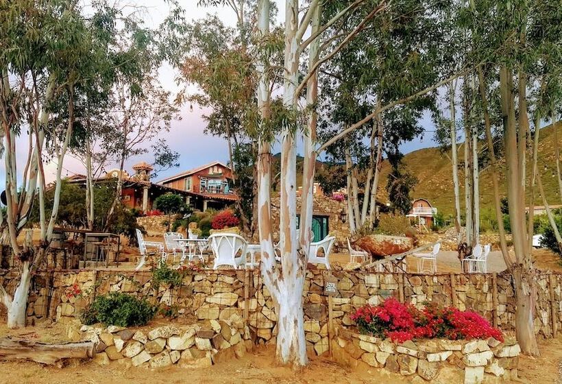 ホテル Viña Calabria