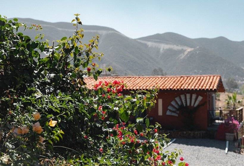 ホテル Viña Calabria