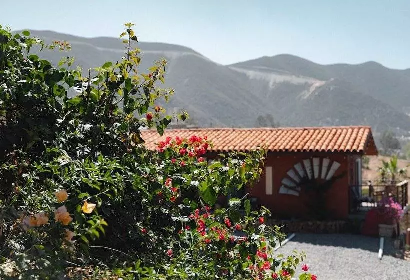 ホテル Viña Calabria