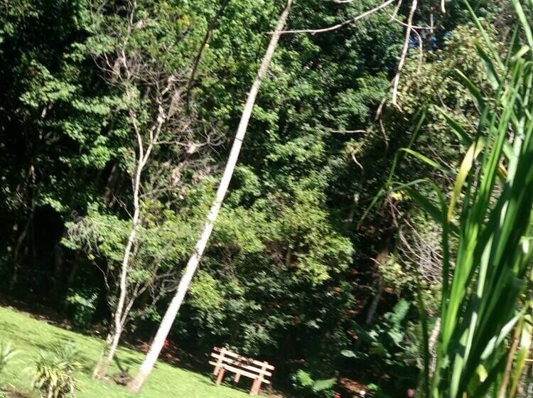 Paraiso San José Hostel