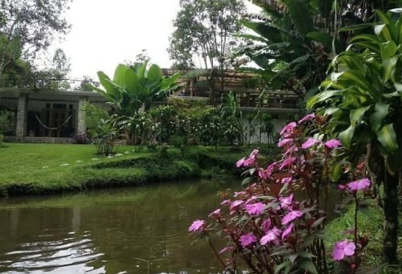 Paraiso San José Hostel