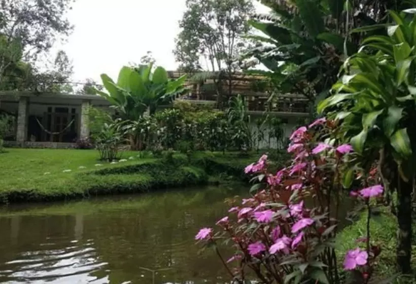 Paraiso San José   Hostel