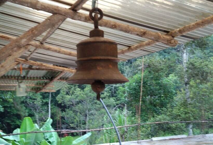 Paraiso San José Hostel