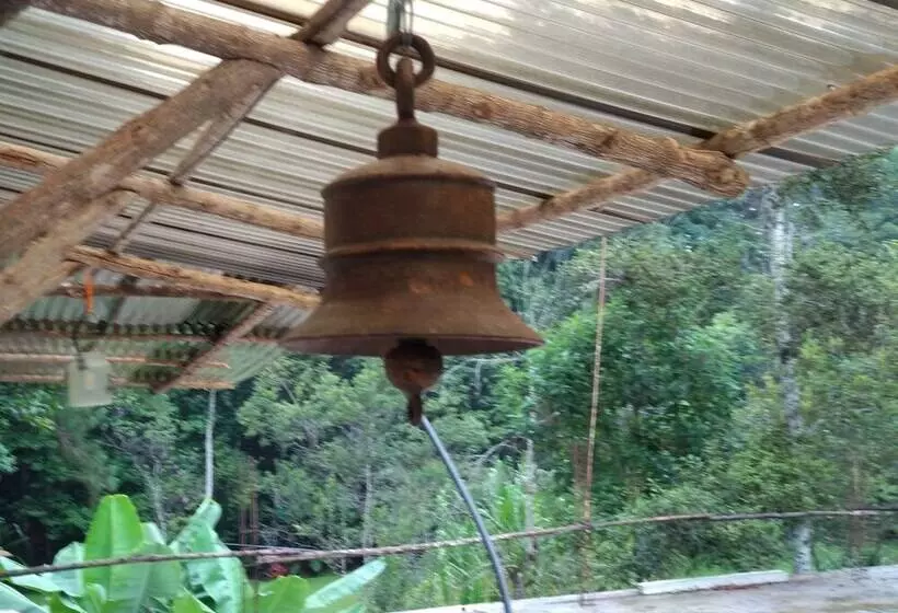 Paraiso San José   Hostel