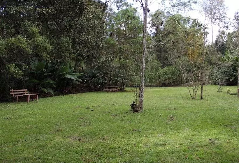 Paraiso San José   Hostel