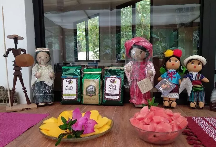 Paraiso San José   Hostel