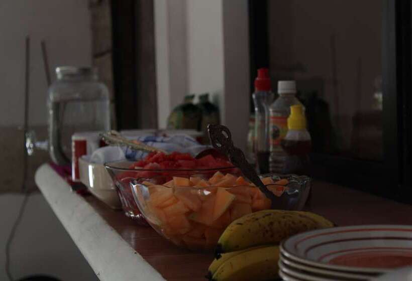 Paraiso San José Hostel