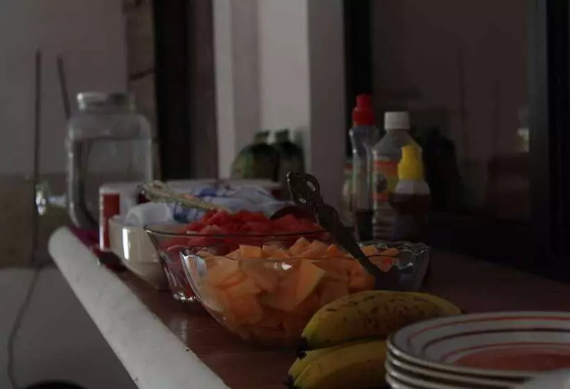 Paraiso San José   Hostel