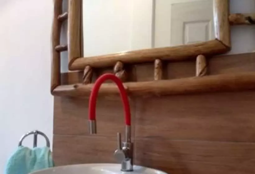 Paraiso San José   Hostel