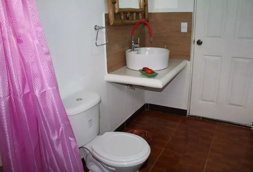 Paraiso San José   Hostel