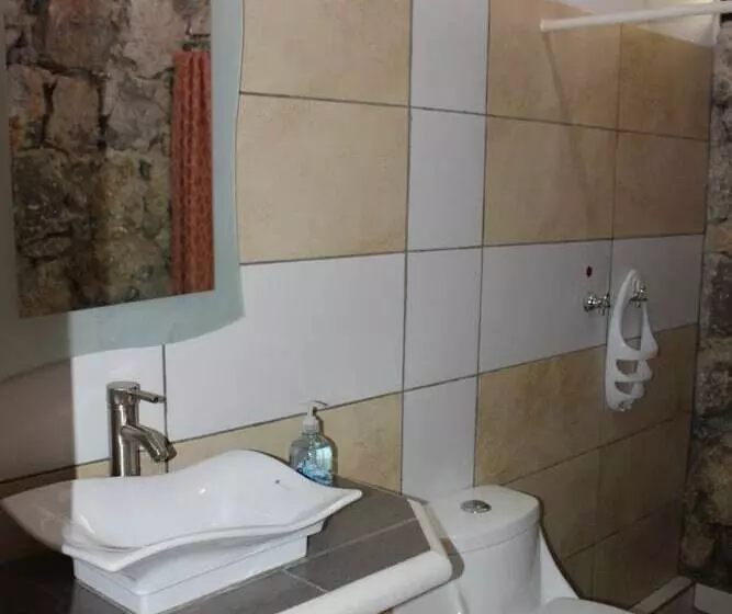 Paraiso San José   Hostel