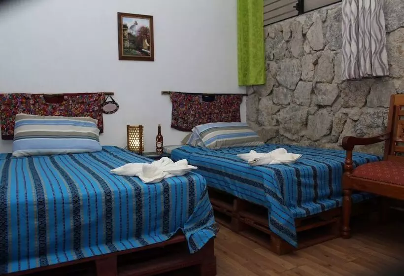 Paraiso San José   Hostel