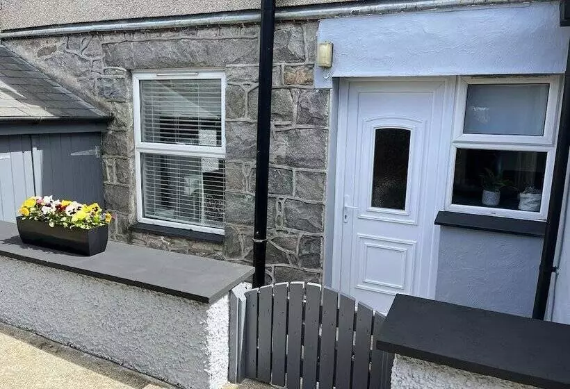 Bythynnod Newydd