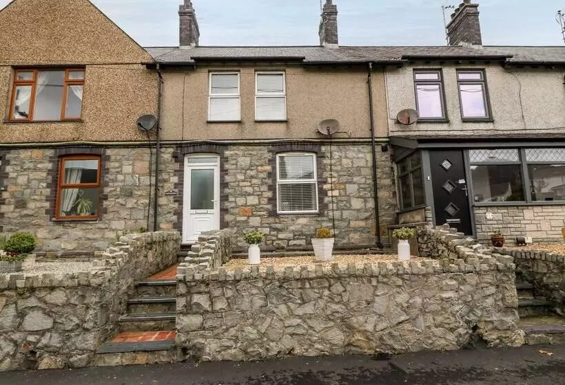 Bythynnod Newydd