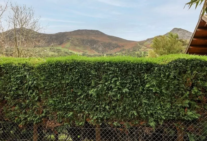 Bythynnod Newydd