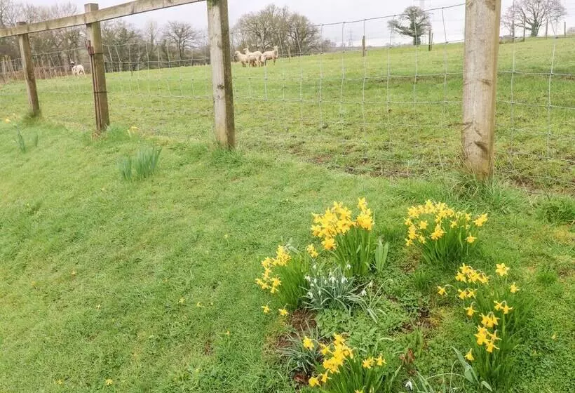 The Barn At Harrolds Farm