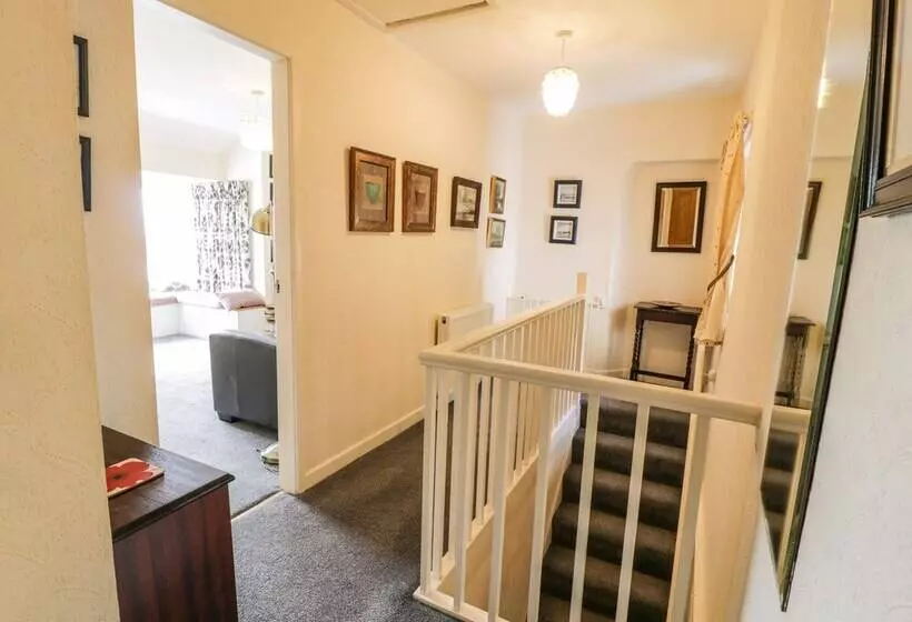 5 Ivy Terrace