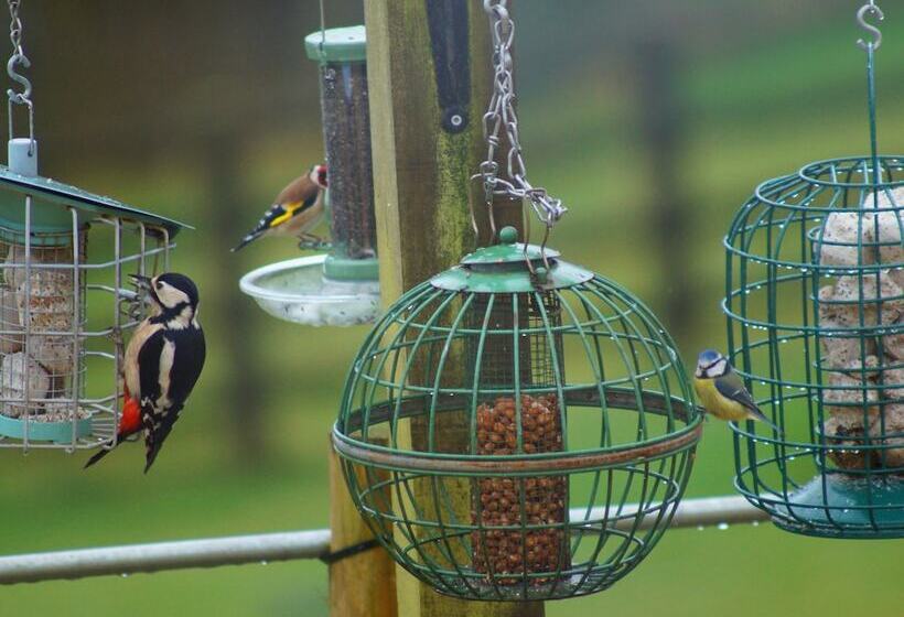 Beautiful Cotswold View