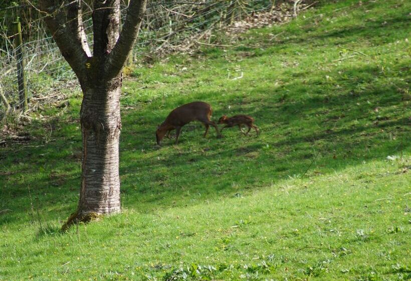 Beautiful Cotswold View