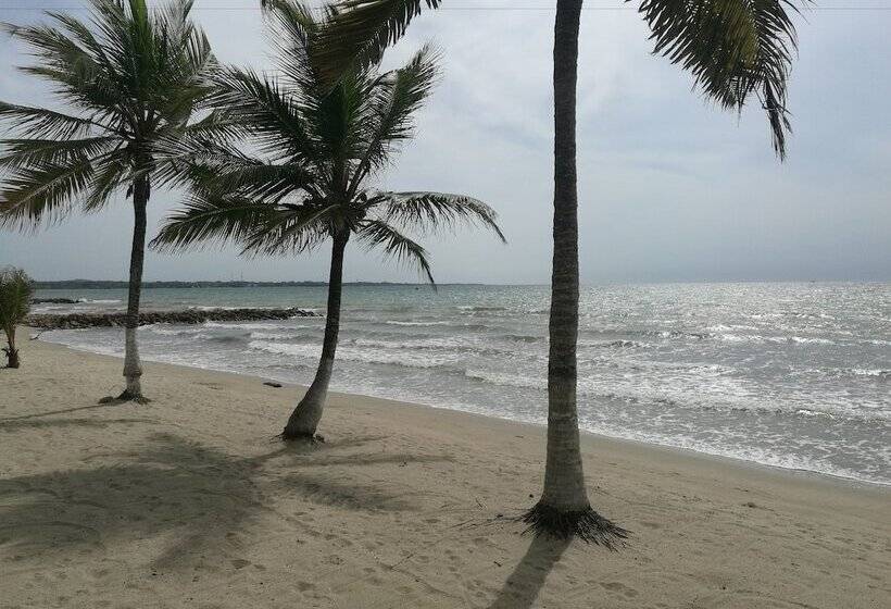 Apartahotel Palma De Mallorca