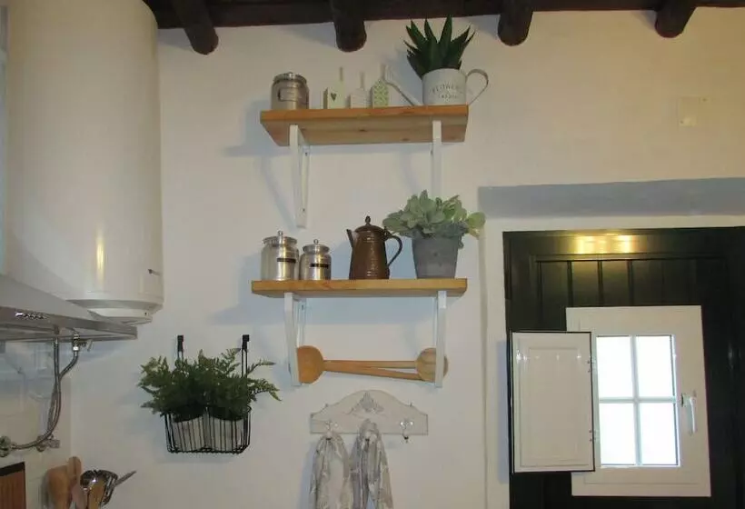 C & M   Casa De Mares